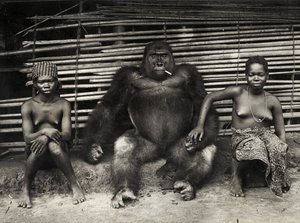 Gorilla (gelatinsølvtrykk) av Hippolyte Lalaise Devéria