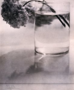 Hortensia, ca 1907 av John Pardon