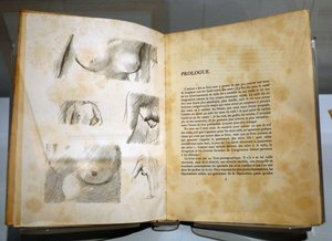 Museum for impresjonisme, Giverny, Frankrike. Bok av Ramon Gomez de la Serna med tegninger av Pierre Bonnard. Bryster. av . .