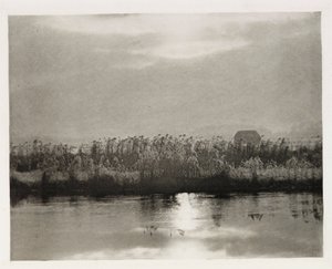 'Rime-krystaller' av Frederick (attr. to) Barnard