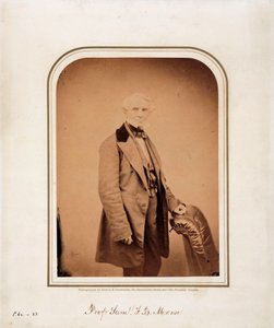 Samuel FB Morse, amerikansk kunstner og oppfinneren av morsekoden, ca 1870 av Frederick (attr. to) Barnard