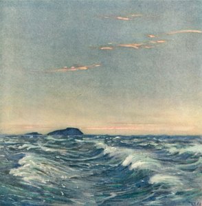Hvite hester