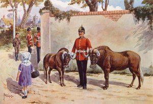 Gnuer (eller White-tailed Gnu), kjæledyr fra South Wales Borderers