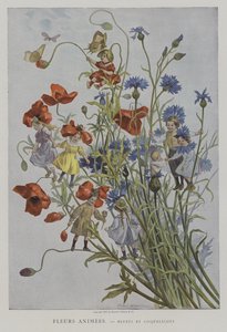 Fleurs Animees. Bluets og Coquelicots. (Animerte blomster: kornblomster og valmuer)