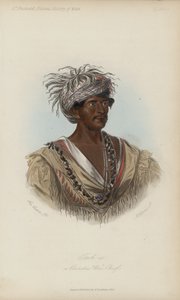 Tuch-ee, en Cherokee-krigssjef (akvatint)