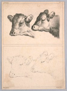 To kuhoder, Plate nr. 2 fra 12me Cahier d