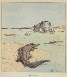 Alligatorene av after Louis Charles Bombled