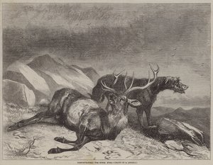 Deer-Stalking, den døende hjort av after Richard Ansdell