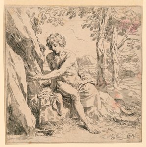 Sankt Johannes i villmarken av after Simone Cantarini