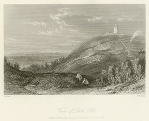 Utsikt over Leith Hill