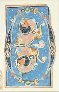 Ornamentert initial O