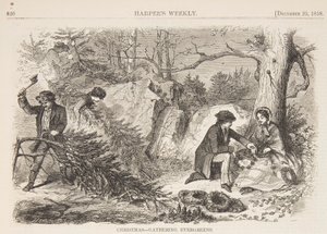 Jul – Samling av eviggrønne planter av after Winslow Homer