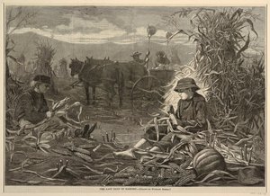 The Last Days of Harvest, fra Harper