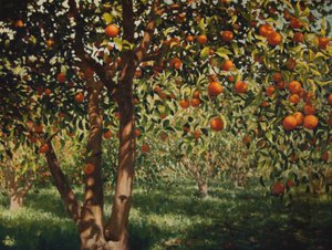 Silence under the oranges II, 2012, olje på lerret