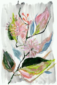 Abstrakte rosa blomster av cartissi