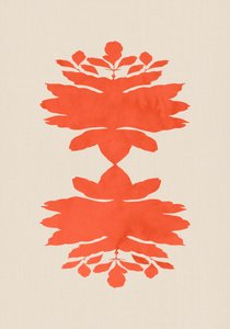 Korallens botaniske symmetri av cartissi