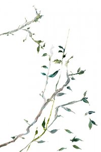  av cartissi