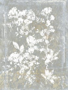 Bleknet blomstersilhuett av cartissi