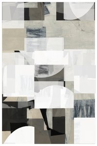 Nøytrale geometriske lag av cartissi