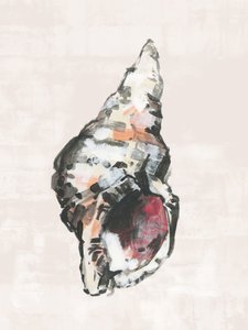  av cartissi