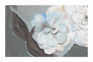 Fredfull blomsterprakt av cartissi