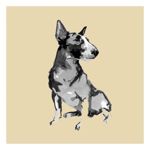 Sittende bullterrier av cartissi