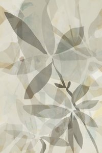 Gjennomsiktig botanisk overlapp av cartissi