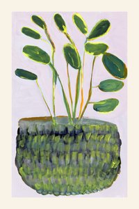Fargerik potteplante av cartissi
