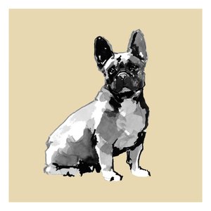Akvarell av en fransk bulldog av cartissi