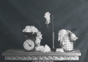 Vintage-stillbilde av bomull av chenyi wang