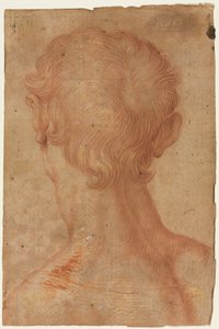 Mannens hode bakfra av copy after Agnolo Bronzino