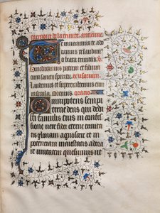 Timebok (bruk av Paris): Dekorert initial