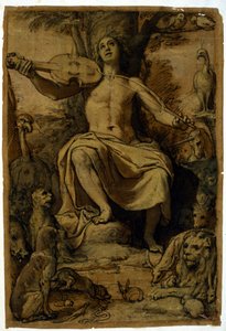 Orpheus fortryller dyrene med musikken til en fiolin. Tegning av Federico Zuccari (1542 - 1609). av or Zuccaro Federico Zuccari