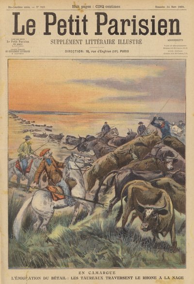 Migrasjon av husdyr i Camargue: en flokk okser som svømmer over elven Rhône (farge litho) av (after) Carrey