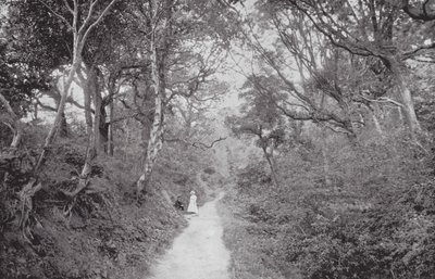  av (after) English photographer