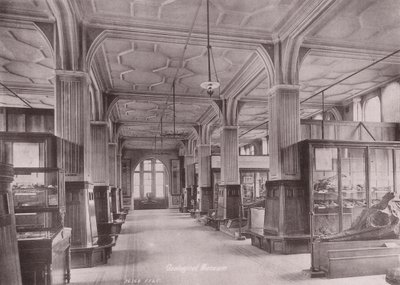 Owen#39;s College, Manchester: Geologisk museum (s/hv-bilde) av (after) English photographer