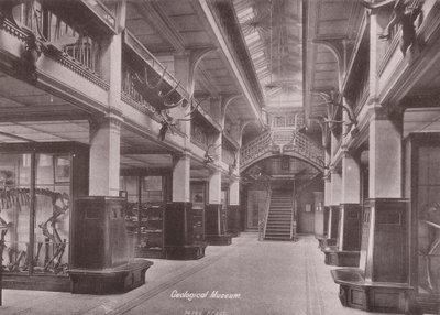 Owen#39;s College, Manchester: Geologisk museum (s/hv-bilde) av (after) English photographer