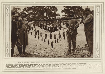 Rotter, en større grøftebekymring enn tyskerne! En fransk soldats fangst på utstilling (s/hv-bilde) av (after) English photographer