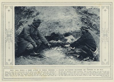 Rotterhaler verdt en krone per stykke i franske skyttergraver! En rottejeger som leverer trofeene sine til en underoffiser (s/hvitt-bilde) av (after) English photographer