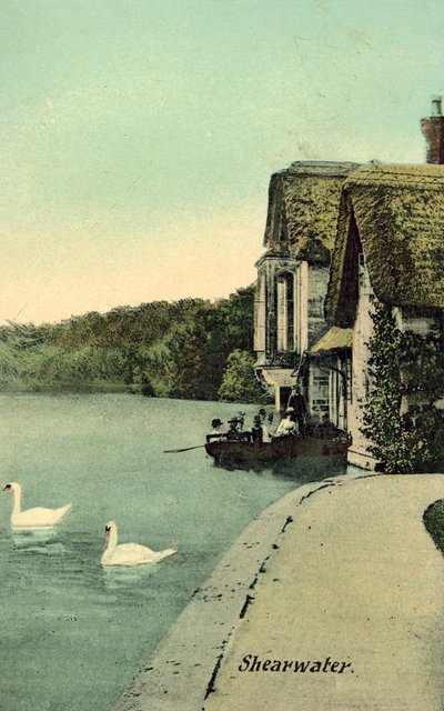 Shearwater (fargebilde) av (after) English photographer