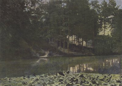 Bois de Boulogne, The Reservoir (farget bilde) av (after) French Photographer