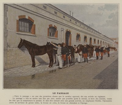 The Grooming (farget bilde) av (after) French Photographer