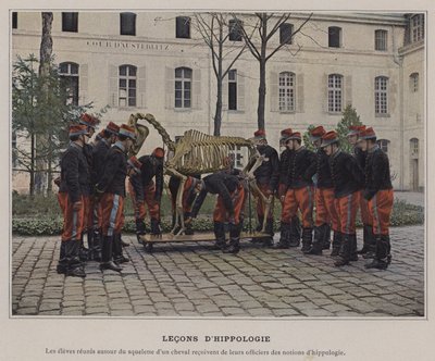 Hipologileksjoner (farget bilde) av (after) French Photographer