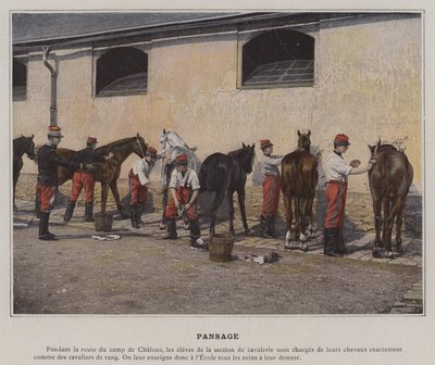 Pansage (farget bilde) av (after) French Photographer
