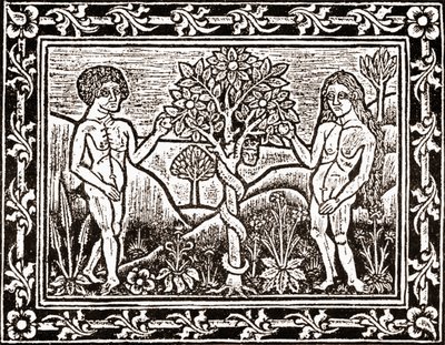 Treet som Adam spiste eplet fra, faksimile fra en meditasjonsbok, den første boken trykt i Albi, Languedoc, i 1481 av (after) French School