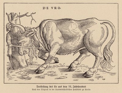  av (after) German School