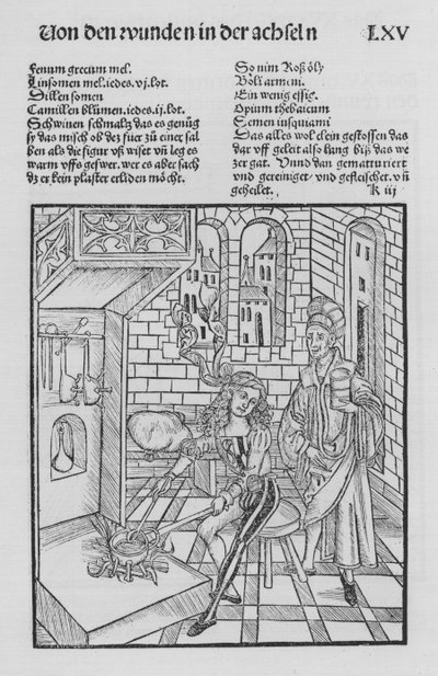 The Book of Cirurgia av Hieronymus Brunschwig (litho) av (after) German School