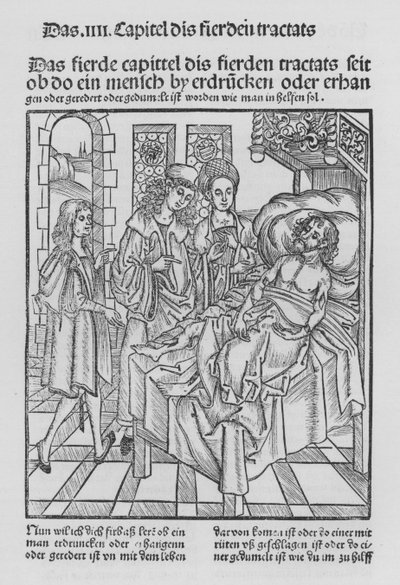 The Book of Cirurgia av Hieronymus Brunschwig (litho) av (after) German School