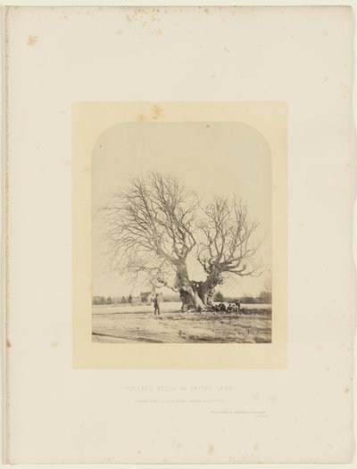  av 14th Earl of Caithness James Sinclair