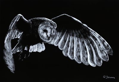  av Richard Young